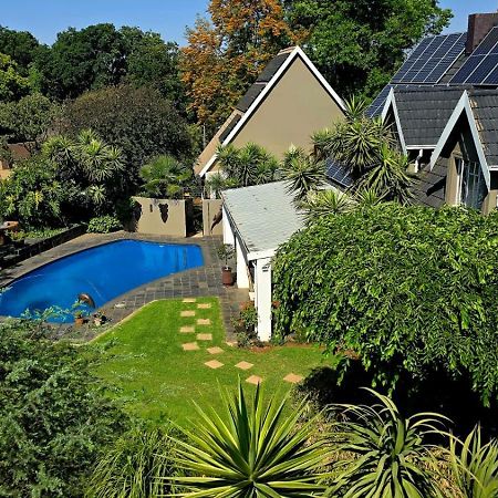 Wild Tree Lodge Benoni Dış mekan fotoğraf
