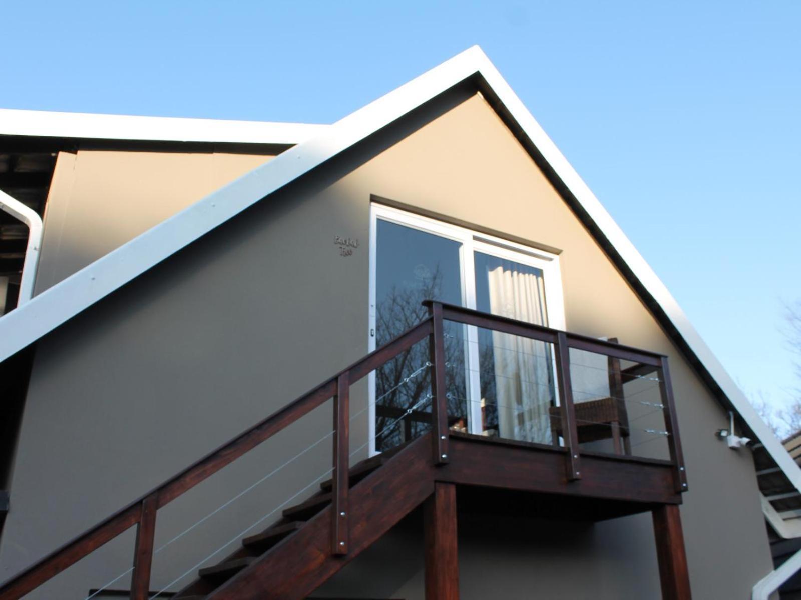 Wild Tree Lodge Benoni Oda fotoğraf