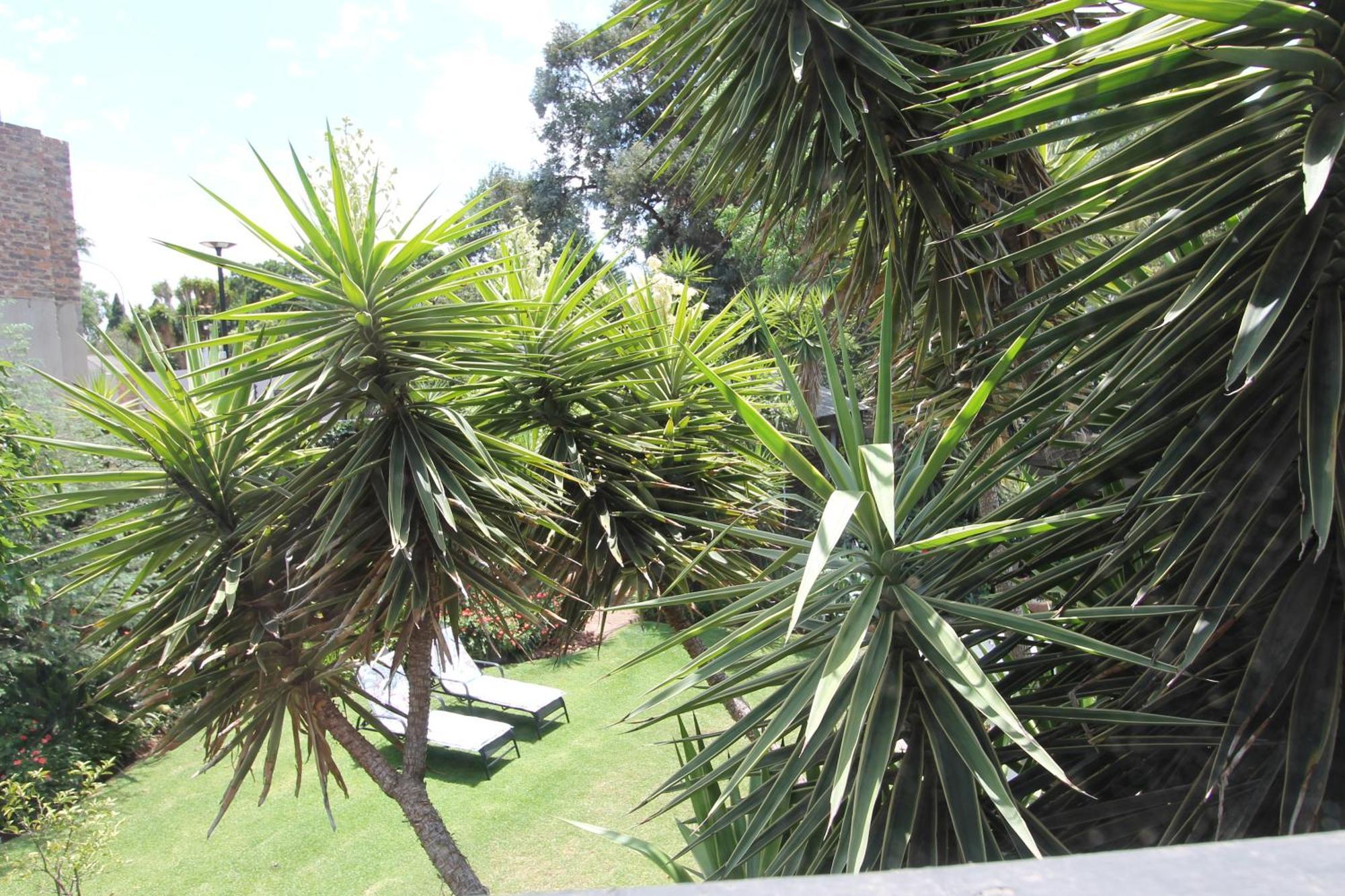 Wild Tree Lodge Benoni Dış mekan fotoğraf