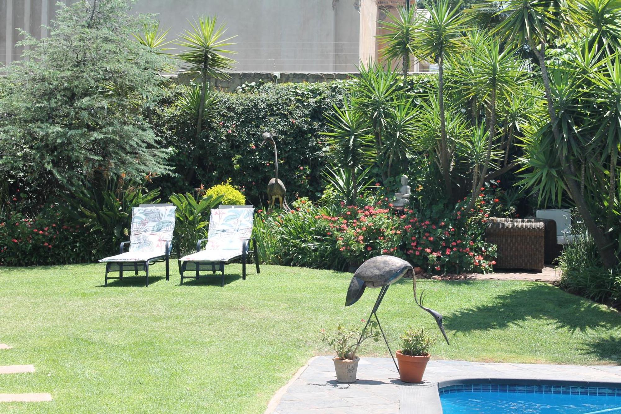 Wild Tree Lodge Benoni Dış mekan fotoğraf
